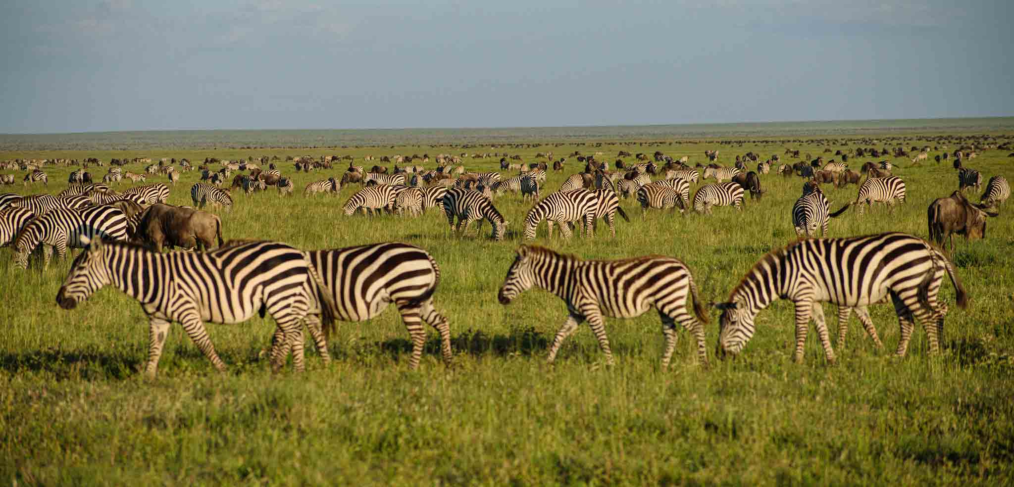 Activities in Masai Mara National Park