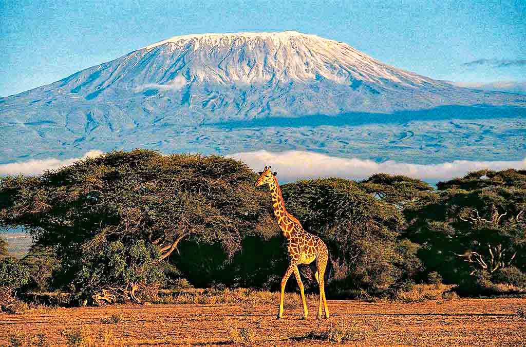 What to do in Kilimanjaro National Park