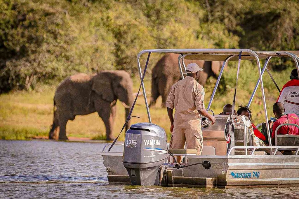 A boat cruise in Akagera National Park