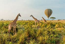 A hot air balloon in Serengeti National Park