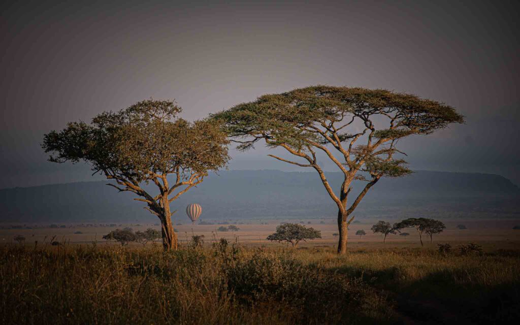 Ballon tours serengeti national park