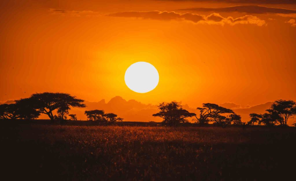 sunrise central serengeti