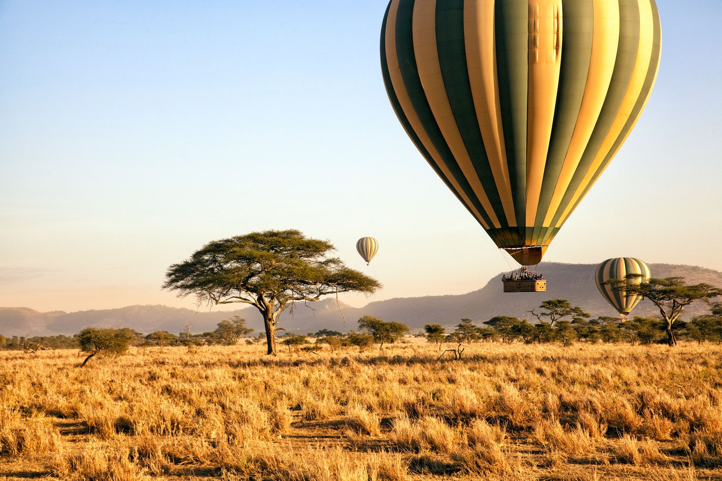 Balloon safari over Tarangire National Park