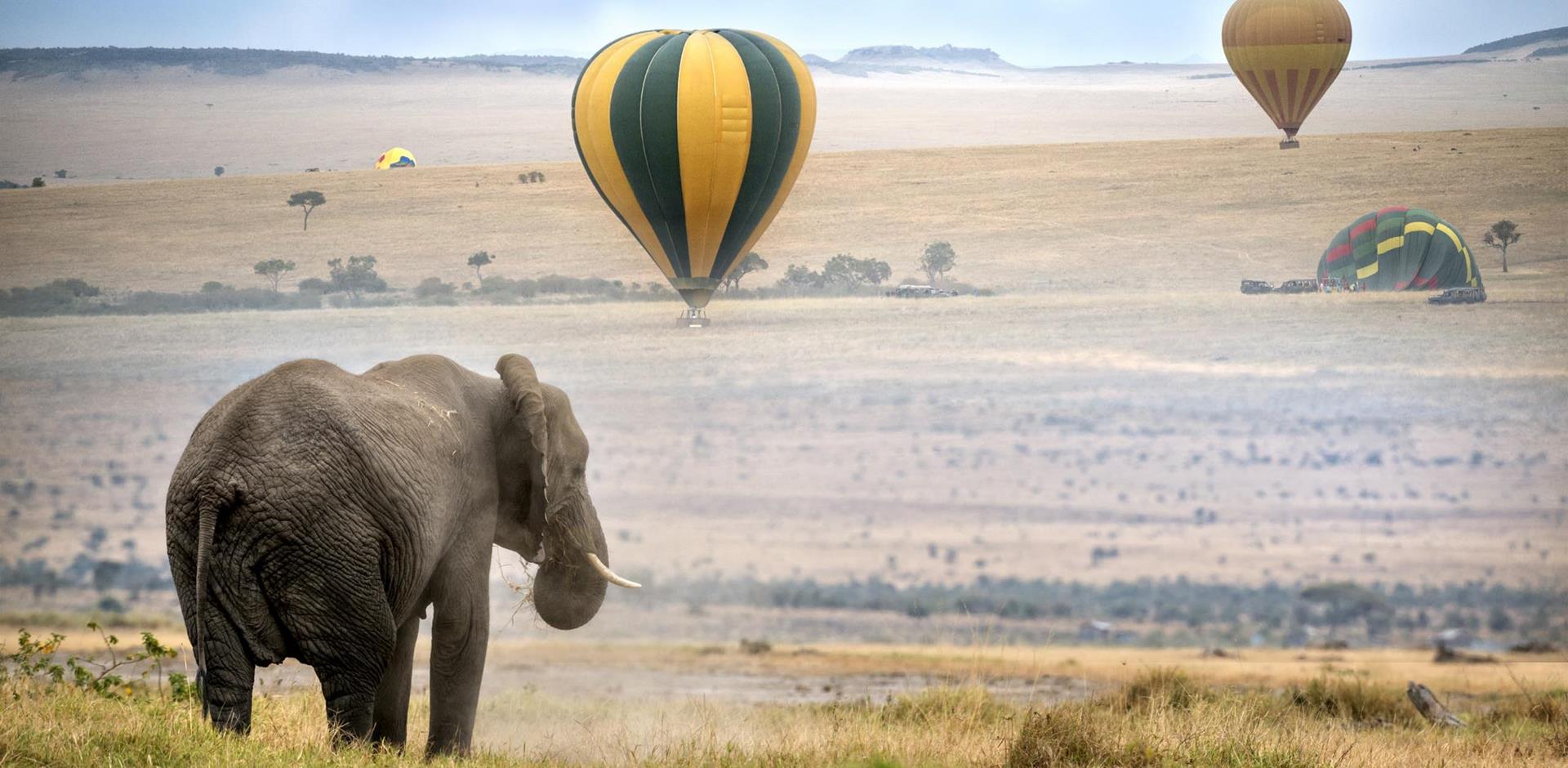 Hot air balloon safari in Masai Mara National Reserve