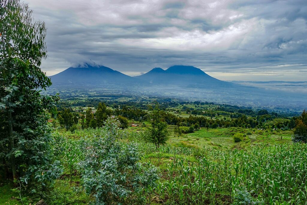 A panoramic view of the volcanoes national park