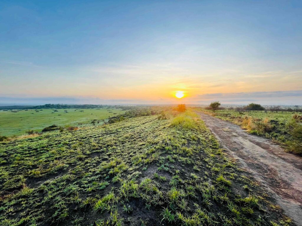 a sunrise picture taken from queen elizabeth national park