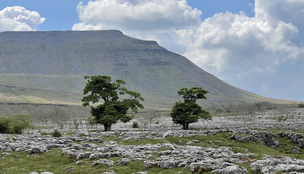 The bale mountains of Ethiopia