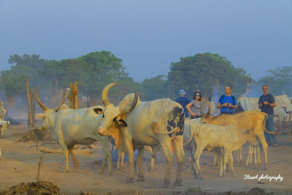 cattle camp Mundari