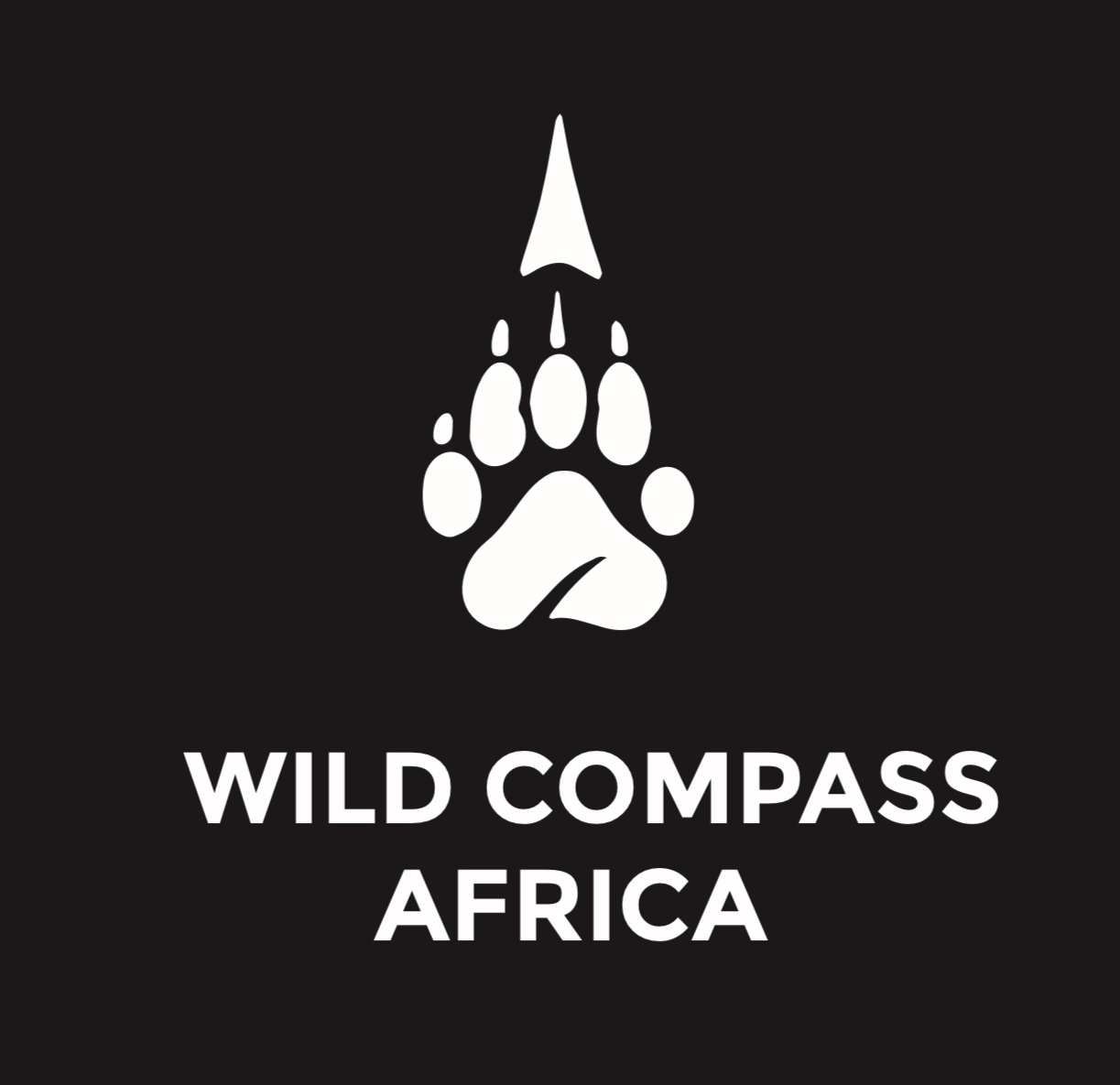 Discover Gorillas