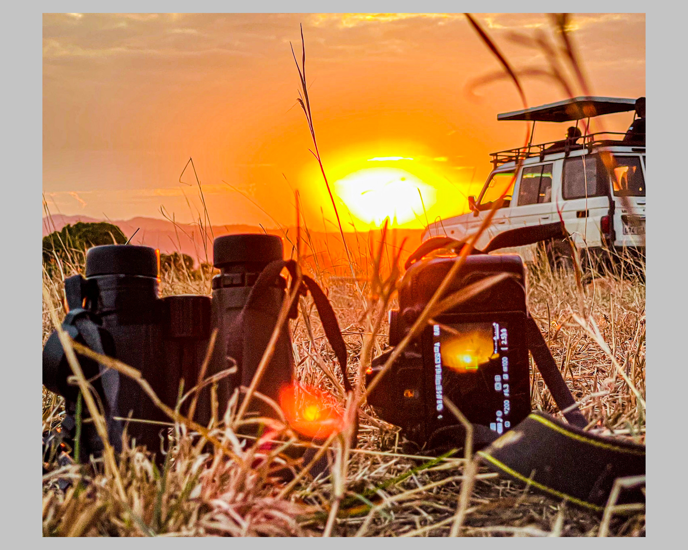 evening game viewing gives the best sunsets