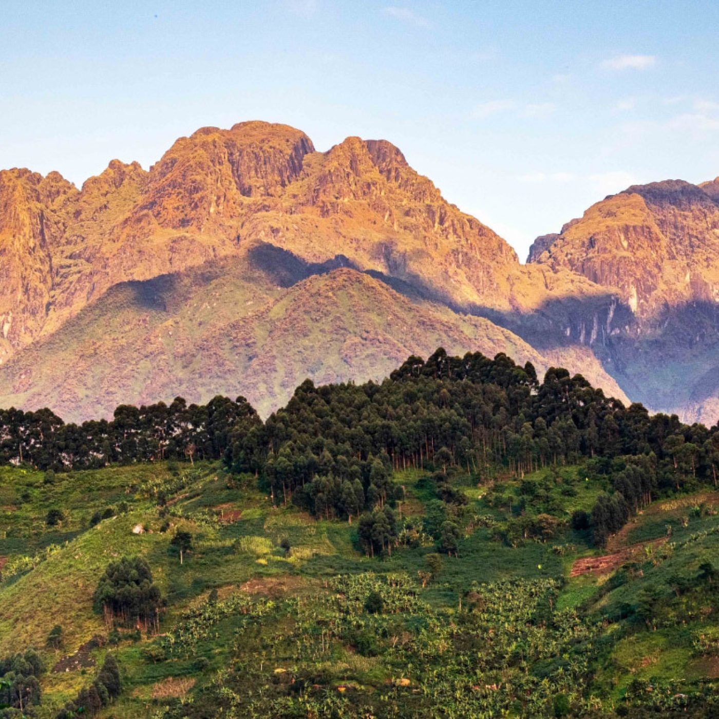 mt Rwenzori ranges