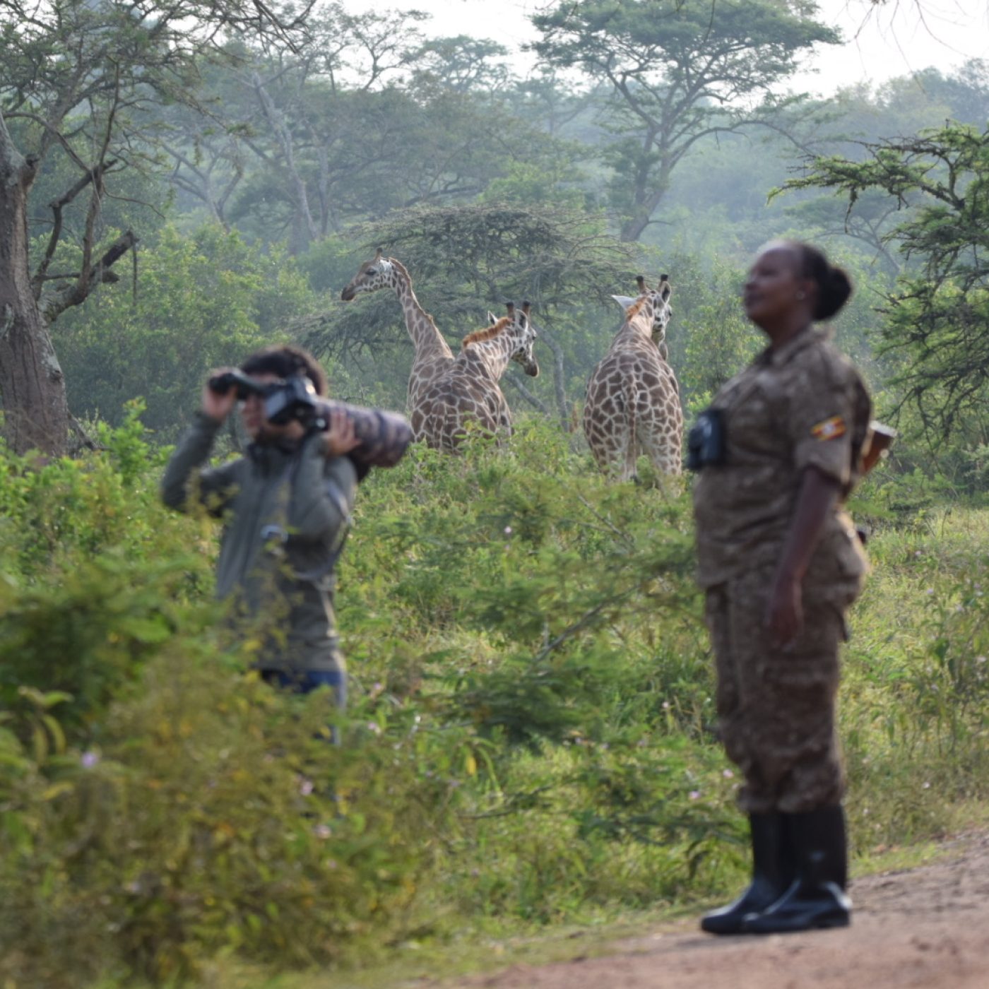 Uganda safaris | walking safaris Mburo park