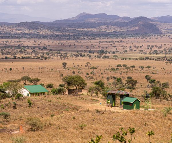 plain landscapes of kidepo