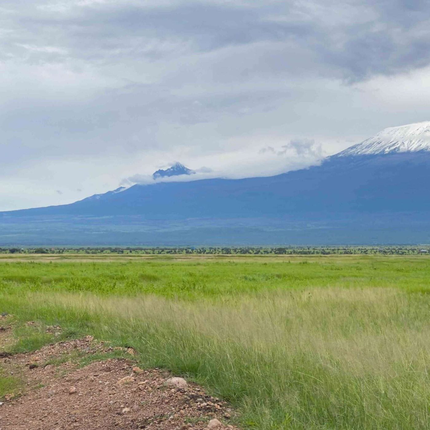 client on a magical kenya safari Amboseli