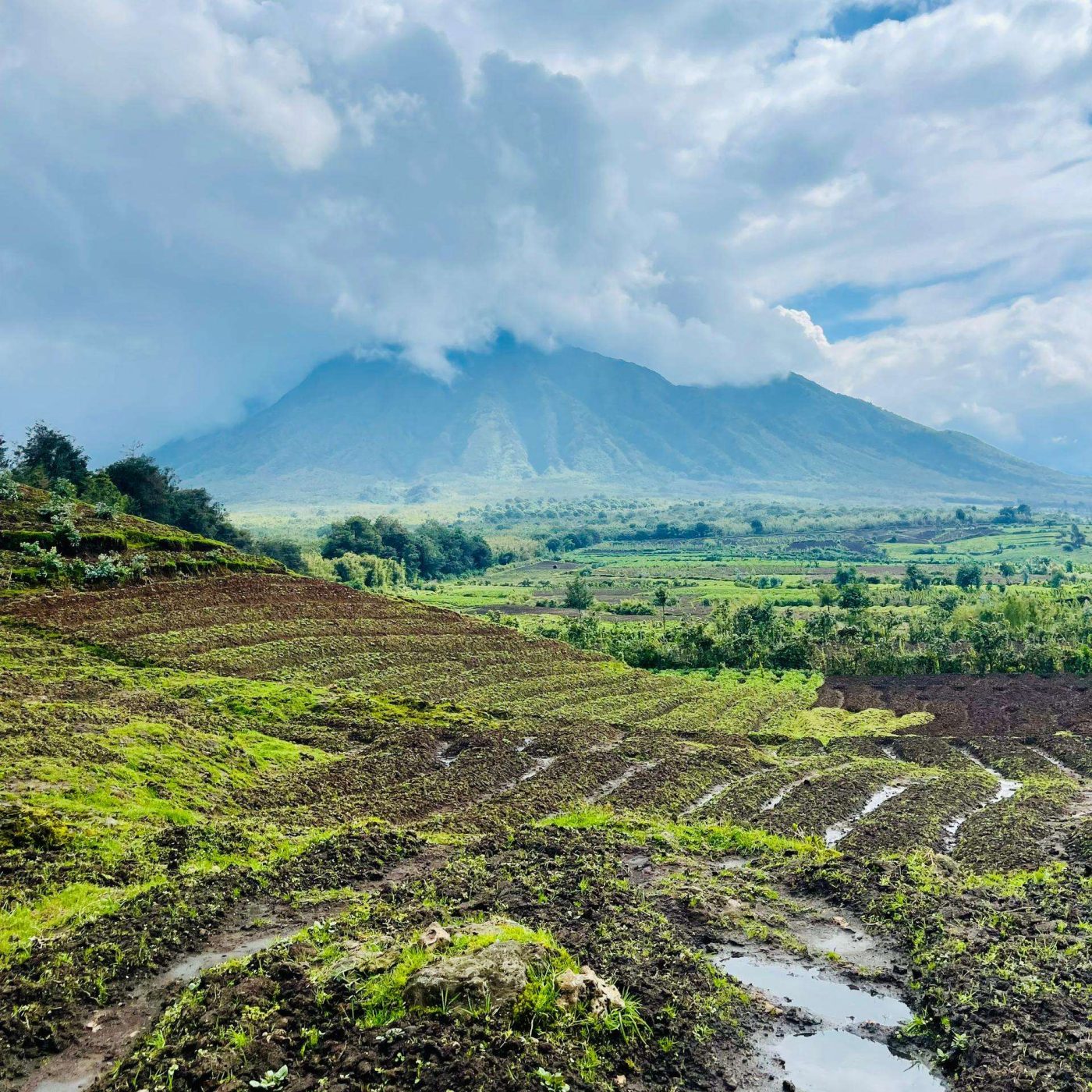 VOLCANOES NP