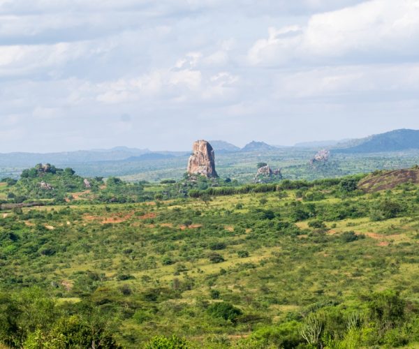 rock out crop kidepo valley national park